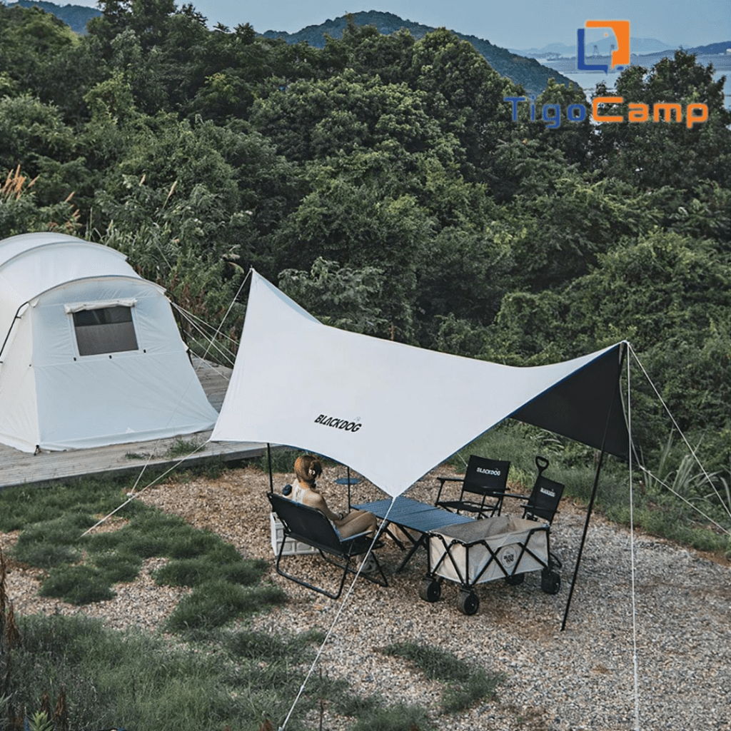 TigoCamp