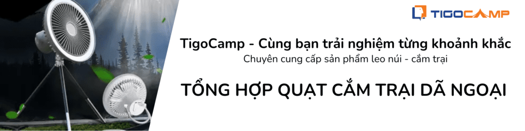 TigoCamp