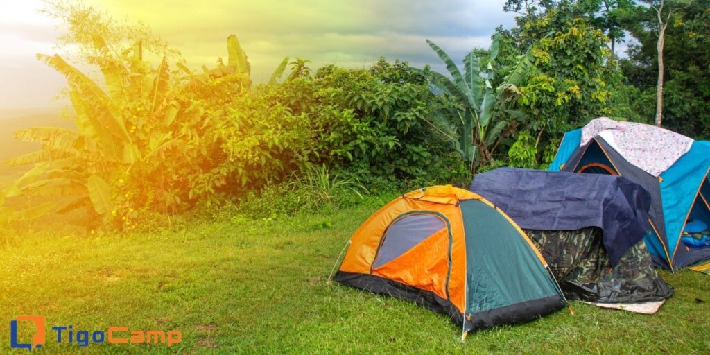 TigoCamp