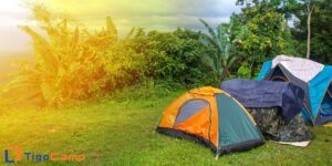 3 chiếc lều cắm trại 2 người trên bãi cỏ và cây