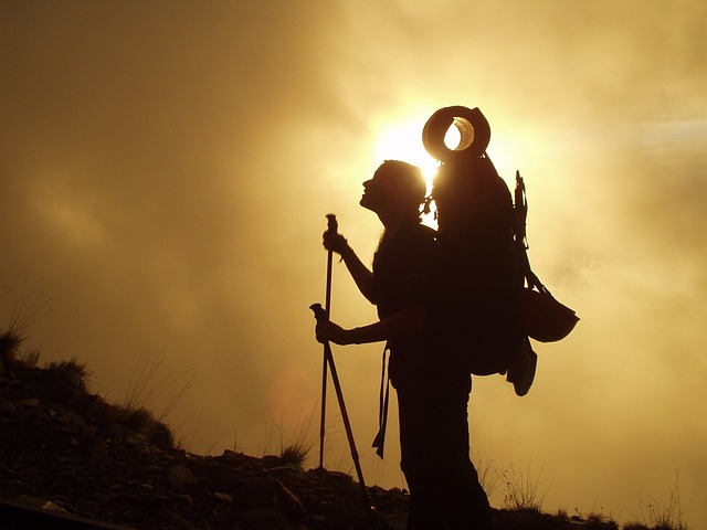 Làm Thế Nào Để Sử Dụng Gậy Đi Trekking Hiệu Quả